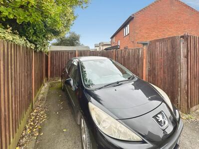 Picture 21